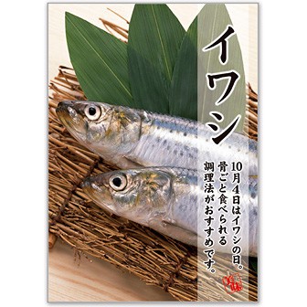 A3ポスター イワシ