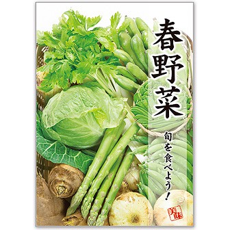 A3ポスター 春野菜