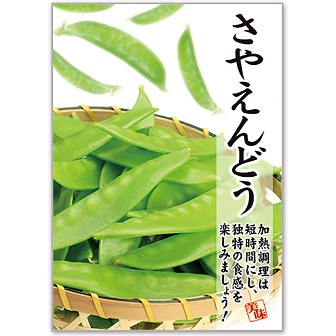 生まれのブランドで A3ポスター さやえんどう: タイトルポップ｜販促物・販促通販の ネイルチップ・付け爪