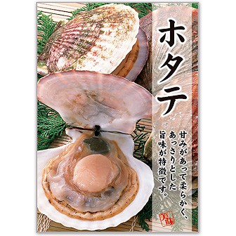 A3ポスター ホタテ