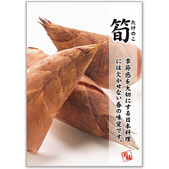 A3ポスター 筍