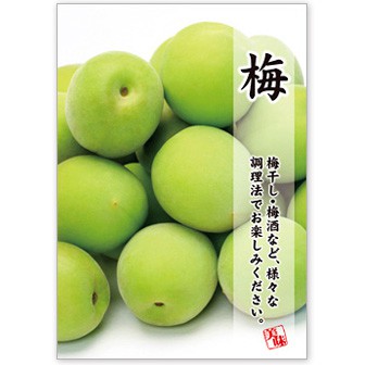 A3ポスター 梅