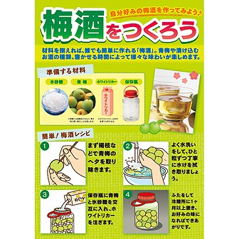 A3ポスター 梅酒をつくろう