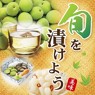 テーマポスター 旬を漬けよう