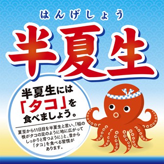 テーマポスター 半夏生