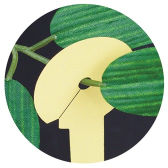 七夕 わくわく短冊 こより一体型