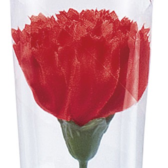 カーネーションかすみイラストラップ（中）