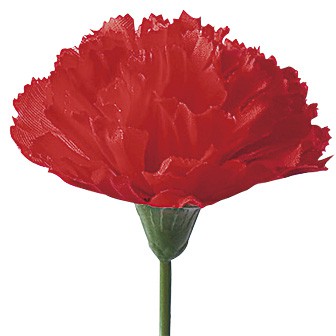 カーネーション（大）