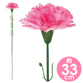 ピンクカーネーション（小）