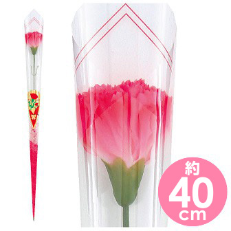 ピンクカーネーションかすみラップ（中）