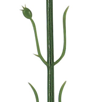 ピンクカーネーション（小）