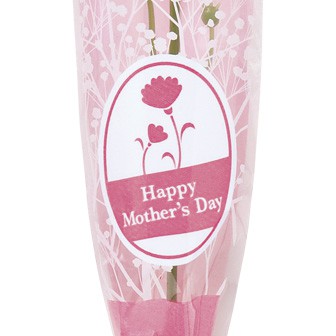 カーネーションかすみリボンラップ（小）