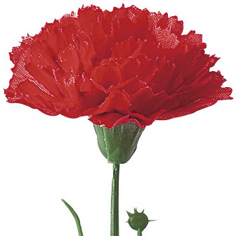 B2大 ポスター CARNATION CRIME　カーネーションクライム B2大 ポスター CARNATION CRIME カーネーションクライム Amazon