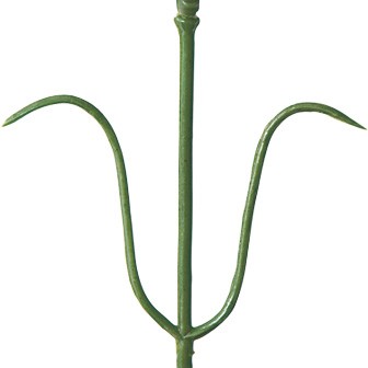 ミニカーネーション