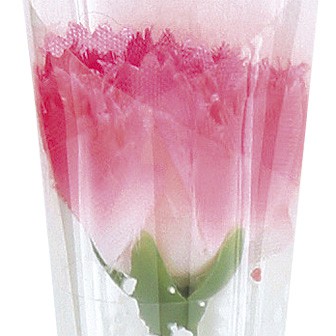 ピンクカーネーションかすみラップ（ミニ）