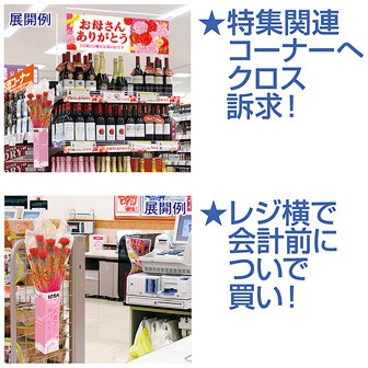 カーネーション店頭販売キット