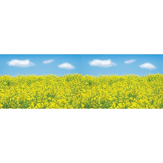 ビニール幕 菜の花(写真)
