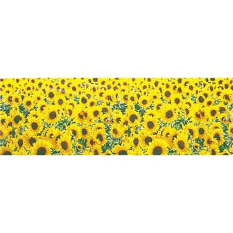 ビニール幕 ひまわり（写真）