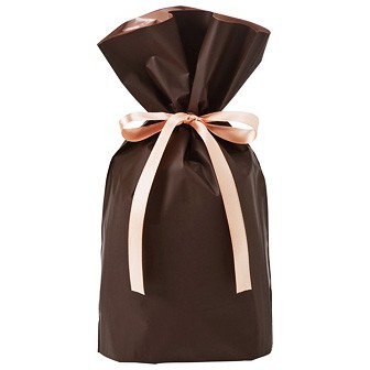 梨地リボン付巾着袋（底マチ付）20枚入 S