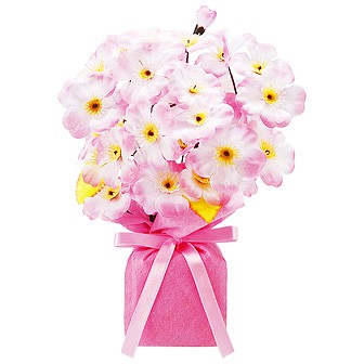 桜ローコストポット