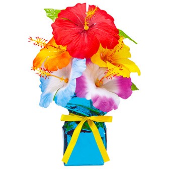 ハイビスカスニューローコストポット