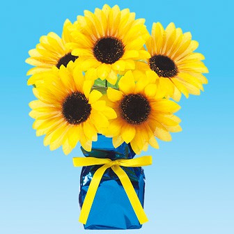 ひまわりニューローコストポット