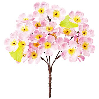 ニュー桜ブッシュ