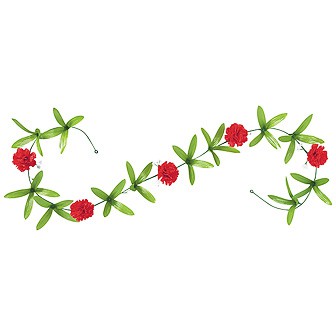 ニューカーネーションガーランド