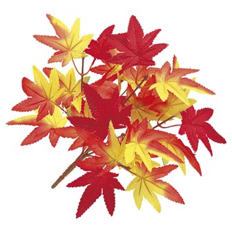 もみじブッシュ