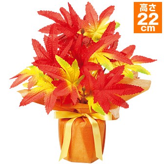 ニューもみじラッピングポット