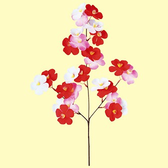 カラフル大梅スプレー