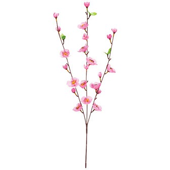 ニュー桃スプレー