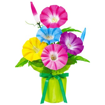 朝顔バリューラッピングポット