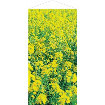 菜の花畑タペストリー 季節装飾 販促物 販促通販の Pop Gallery ポップギャラリー
