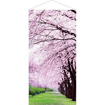 桜満開タペストリー(防炎加工)