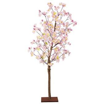山桜立木 (高さ：120cm）
