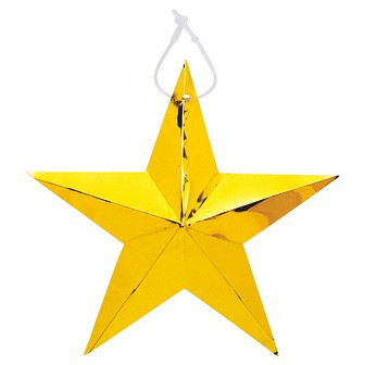 ゴールドスター（10ヶ入）