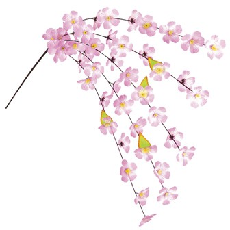 桜エコシダレ