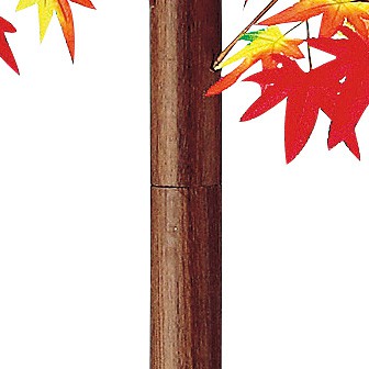 もみじ立木 (高さ：180cm）