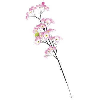 桜スプレー小（1本枝）