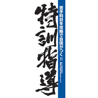 のぼり（大） 特訓指導
