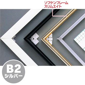 ソフケンフレームスリムエイト（B2）シルバー