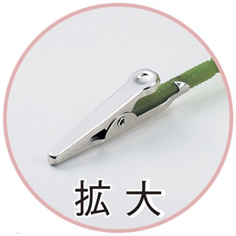 カーネーションスプレー（クリップタイプ）