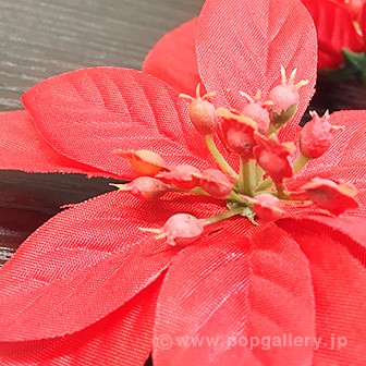 ポインセチアスプレー（5輪）