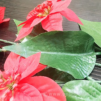 ポインセチアスプレー（5輪）