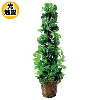 ポトスポール（L）