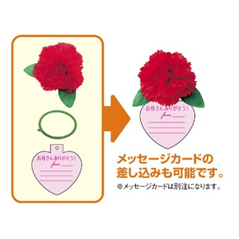 カーネーションボトルリング