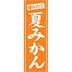 のぼり（大） 夏みかん