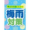 雨飴☆A2ポスター5枚/A3ポスター1枚☆おまとめ割引 AS28001.jpg