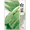 A3ポスター 白菜